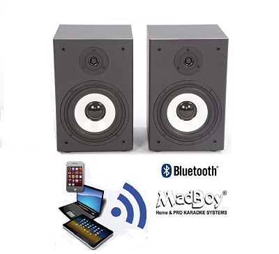 Активная акустическая система MADBOY BONEHEAD-206 BT с Bluetooth